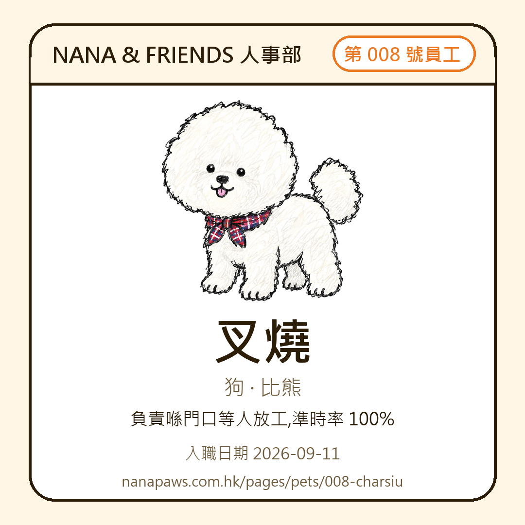 叉燒 嘅 NANA & FRIENDS 入職證