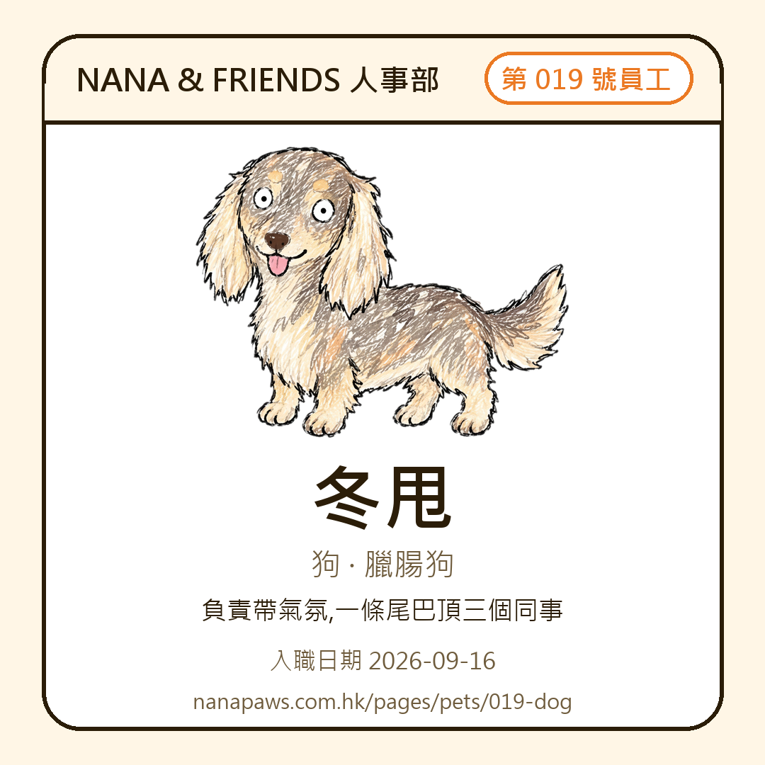冬甩 嘅 NANA & FRIENDS 入職證