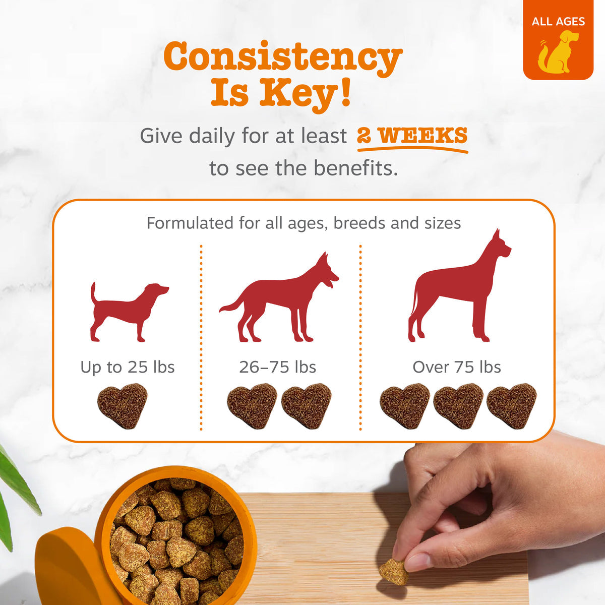 Zesty Paws 蔓越莓泌尿軟糖 官方圖片 4