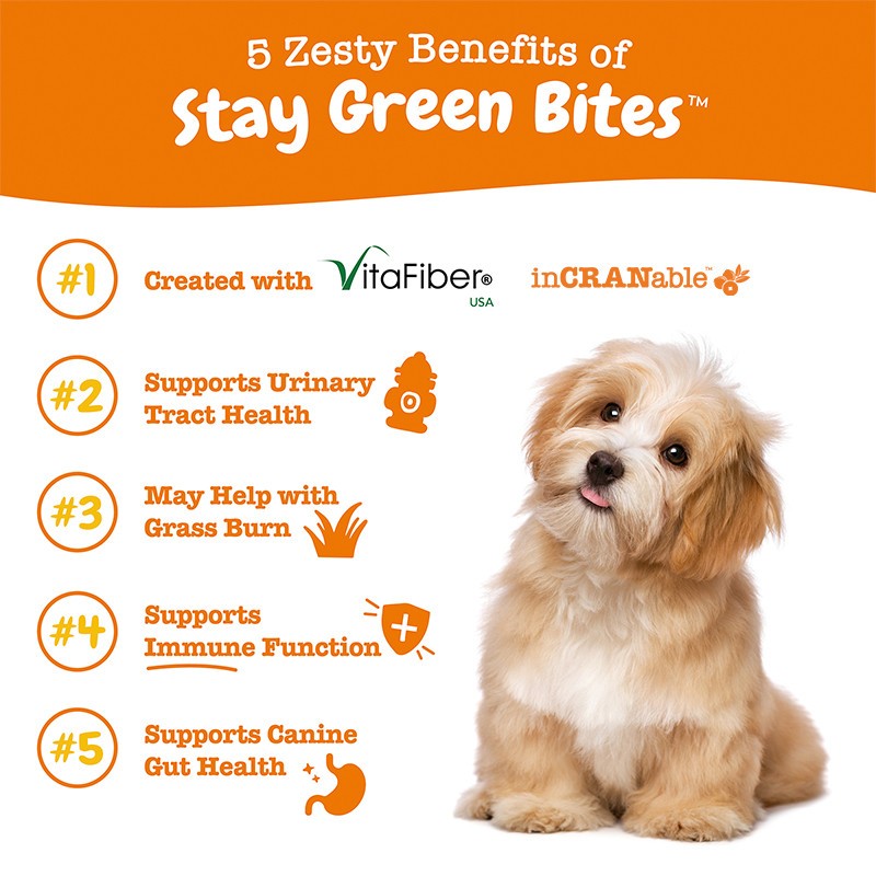 Zesty Paws 草地保綠泌尿軟咀嚼片(Stay Green) 五大功效說明