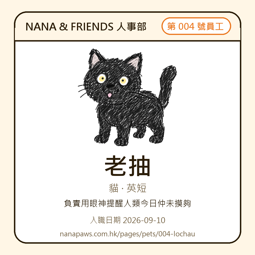 老抽 嘅 NANA & FRIENDS 入職證