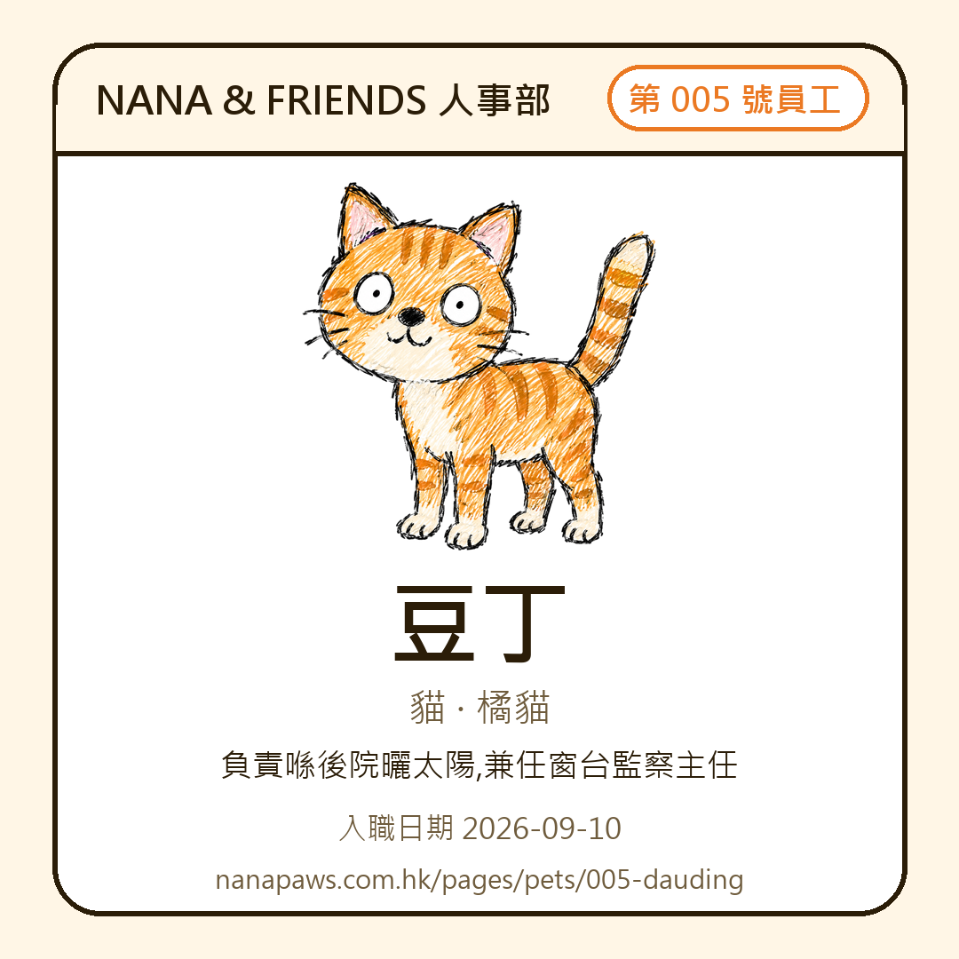 豆丁 嘅 NANA & FRIENDS 入職證