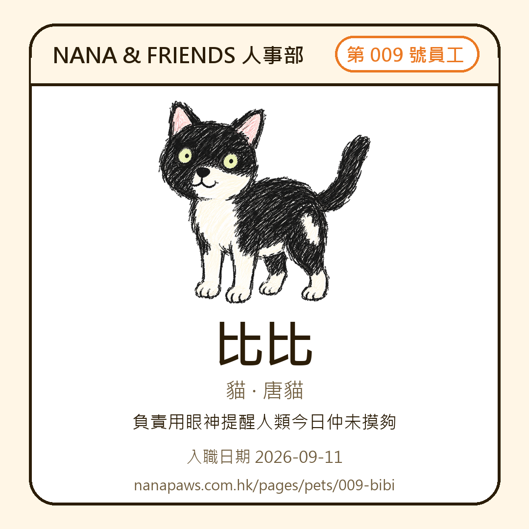 比比 嘅 NANA & FRIENDS 入職證