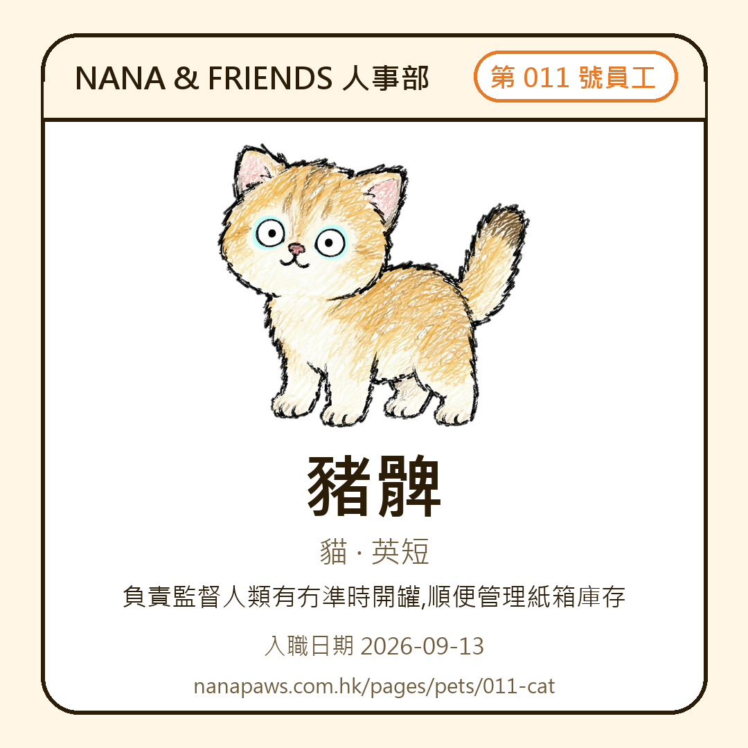 豬髀 嘅 NANA & FRIENDS 入職證