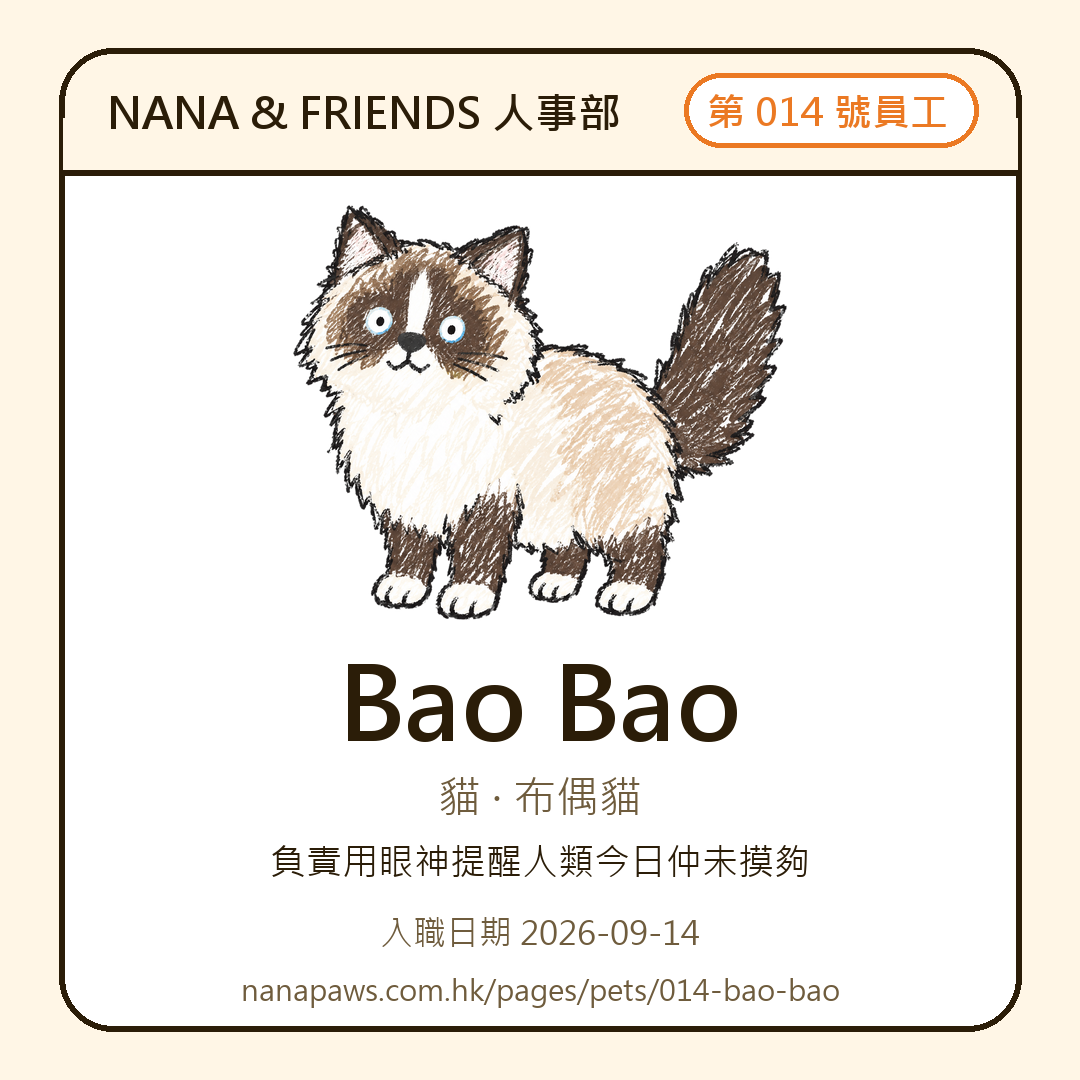 Bao Bao 嘅 NANA & FRIENDS 入職證