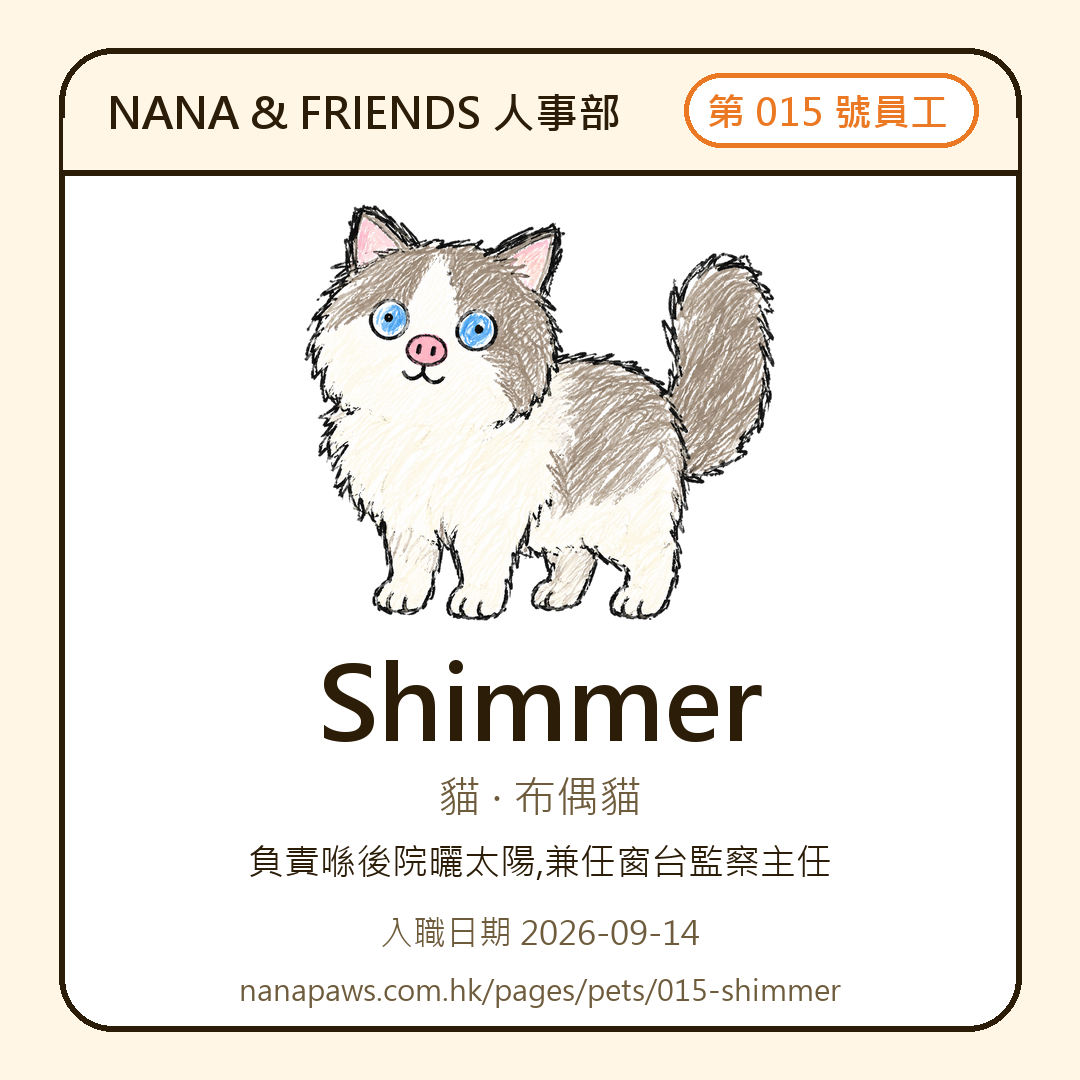 Shimmer 嘅 NANA & FRIENDS 入職證