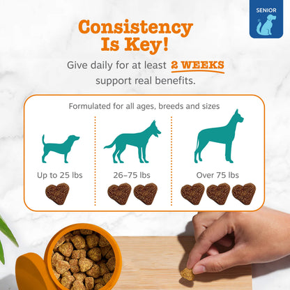 Zesty Paws 高齡犬認知支援軟糖 官方圖片 4