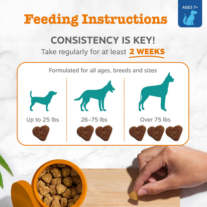 Zesty Paws 高齡犬鎮靜認知軟咀嚼片 原廠圖片 4