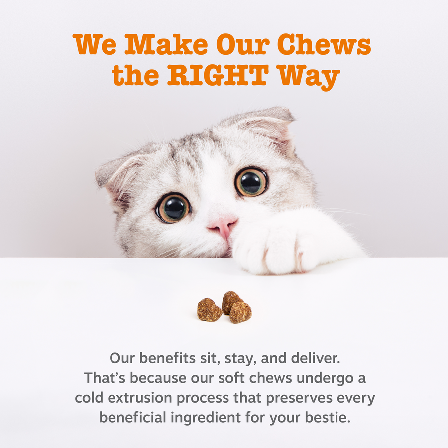Zesty Paws 貓貓化毛球腸道軟糖 官方圖片 5