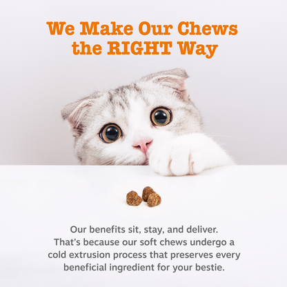 Zesty Paws 貓貓化毛球腸道軟糖 官方圖片 5