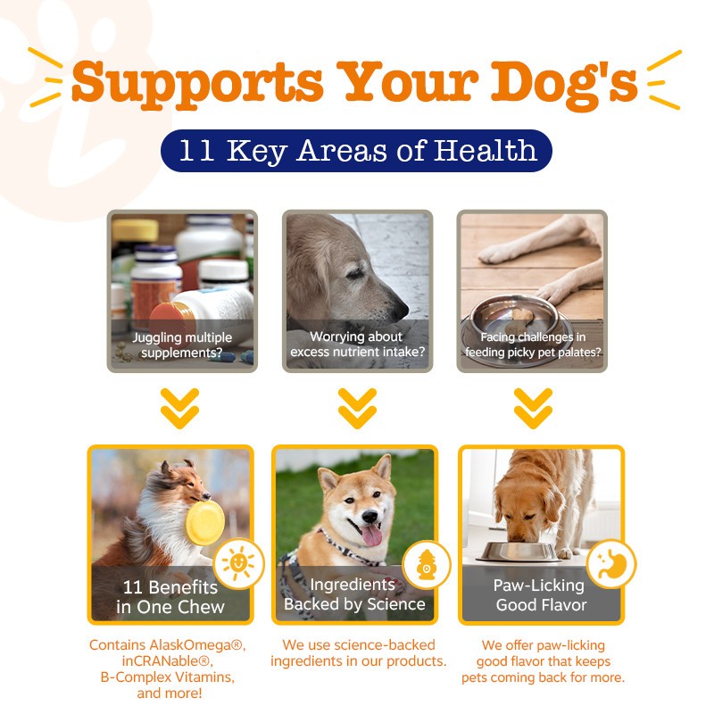 Zesty Paws 高齡犬 11合1 綜合維他命軟咀嚼片 11 項健康範疇說明