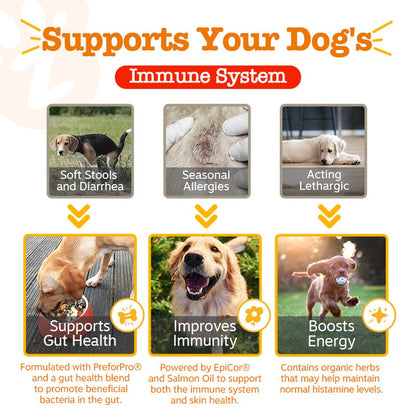 Zesty Paws 高齡犬過敏免疫軟咀嚼片 高齡犬免疫徵狀支援說明