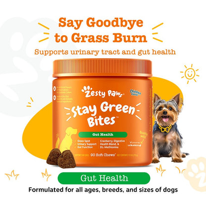 Zesty Paws 草地保綠泌尿軟咀嚼片(Stay Green) 草尿斑支援生活場景