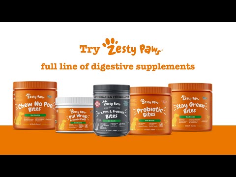Zesty Paws 益生菌腸道軟嚼片 官方短片:腸道健康科學