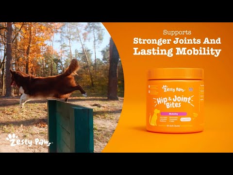 Zesty Paws 關節活動力軟嚼片 官方短片:關節活動力軟嚼片