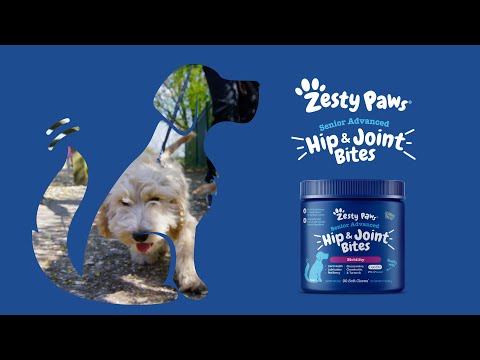 Zesty Paws 高齡犬關節活動力軟嚼片 官方短片:高齡犬關節軟嚼片成分