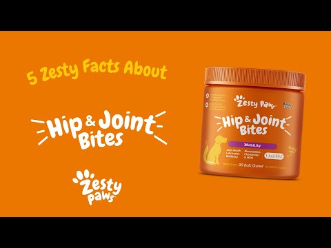 Zesty Paws 關節活動力軟嚼片 官方短片:關節軟嚼片 5 個重點