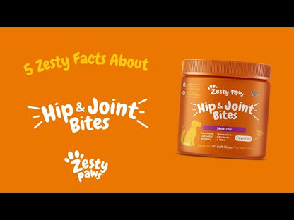 Zesty Paws 關節活動力軟嚼片 官方短片:關節軟嚼片 5 個重點